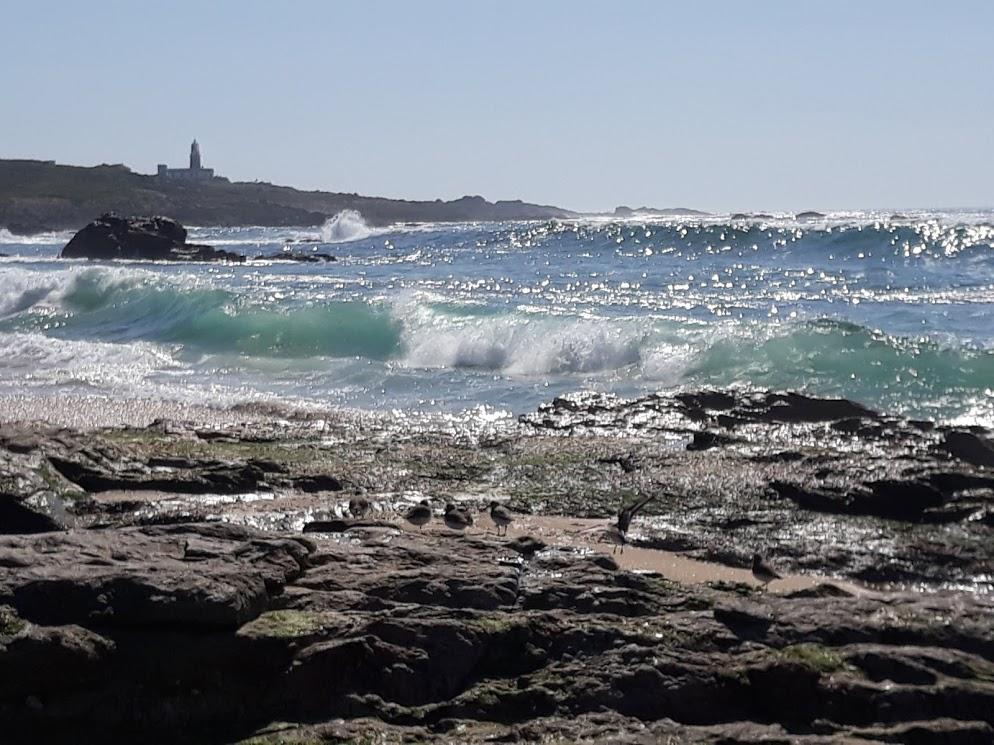 Hostal Balieiros Corrubedo Exteriör bild